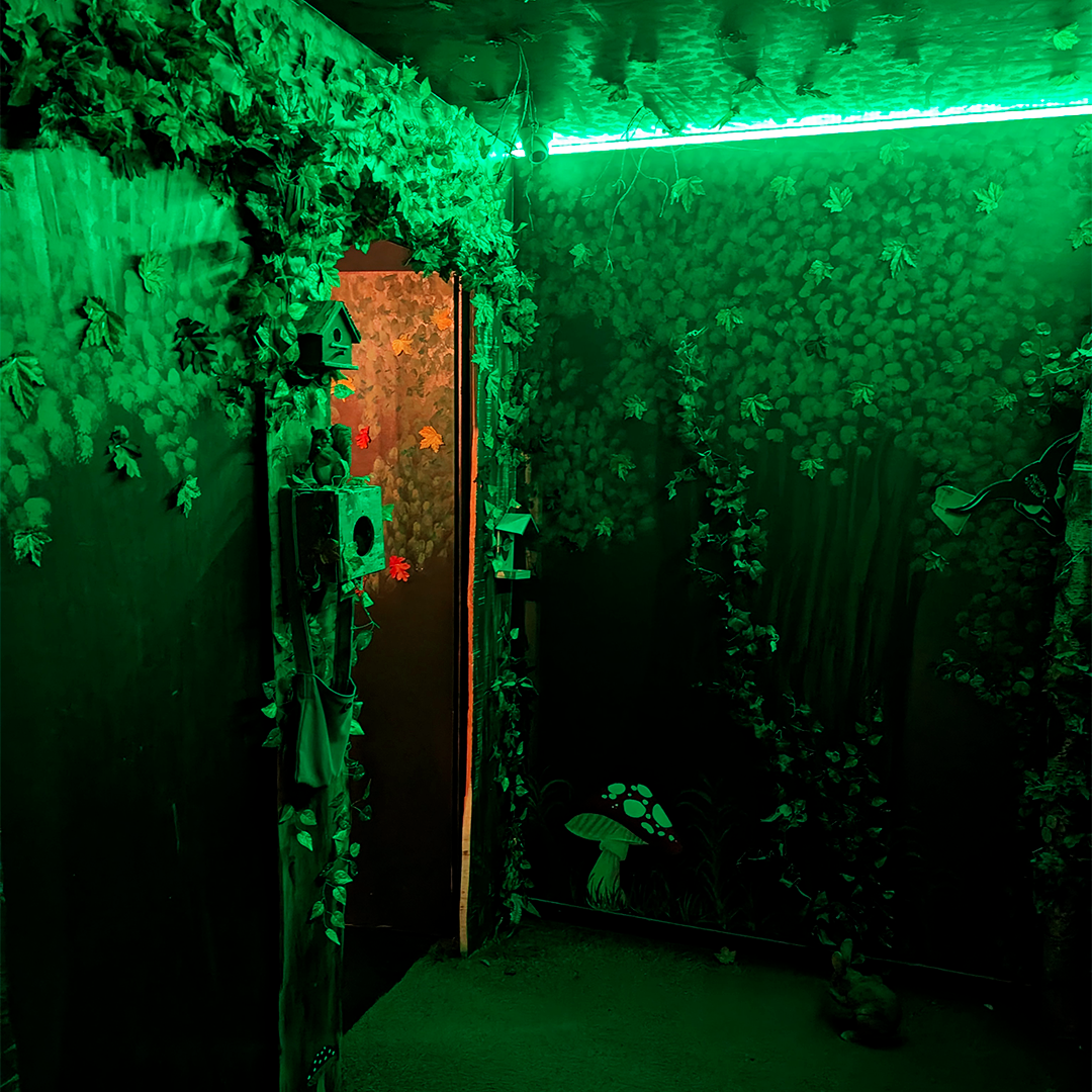 Disparition chambre verte