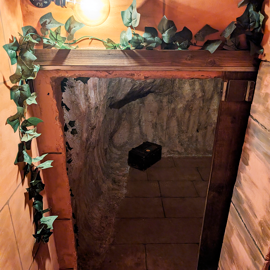 Secret porte cachée