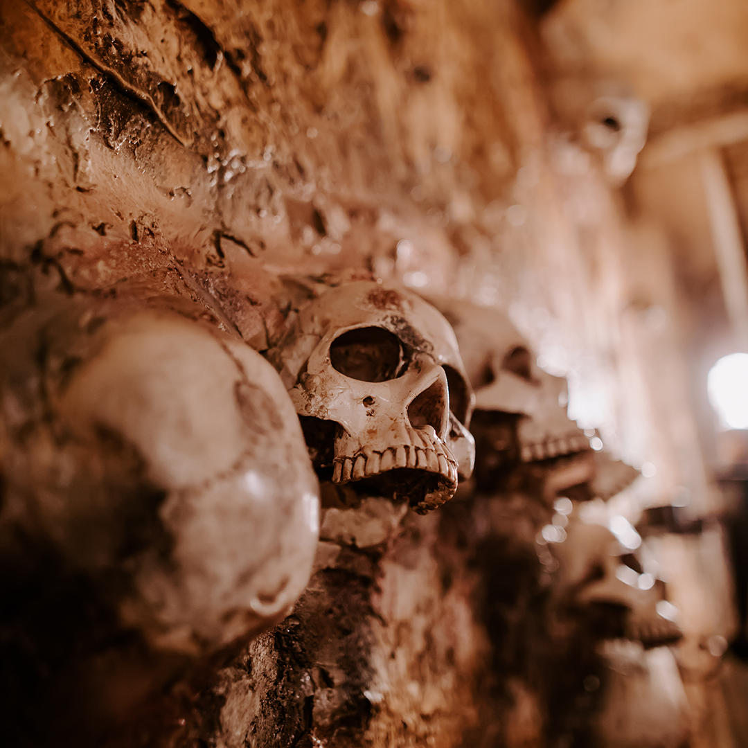 Catacombes cranes