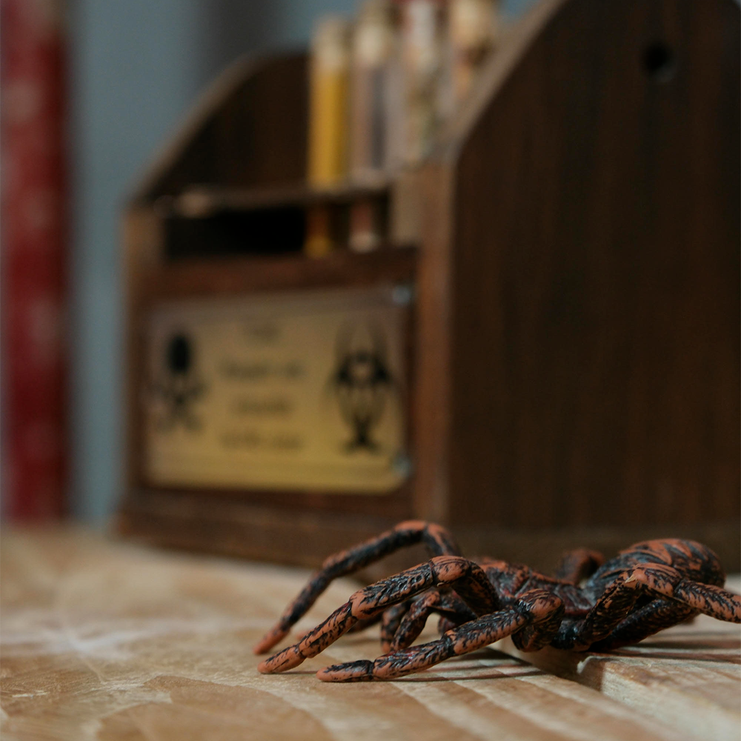 Livre noir araignée