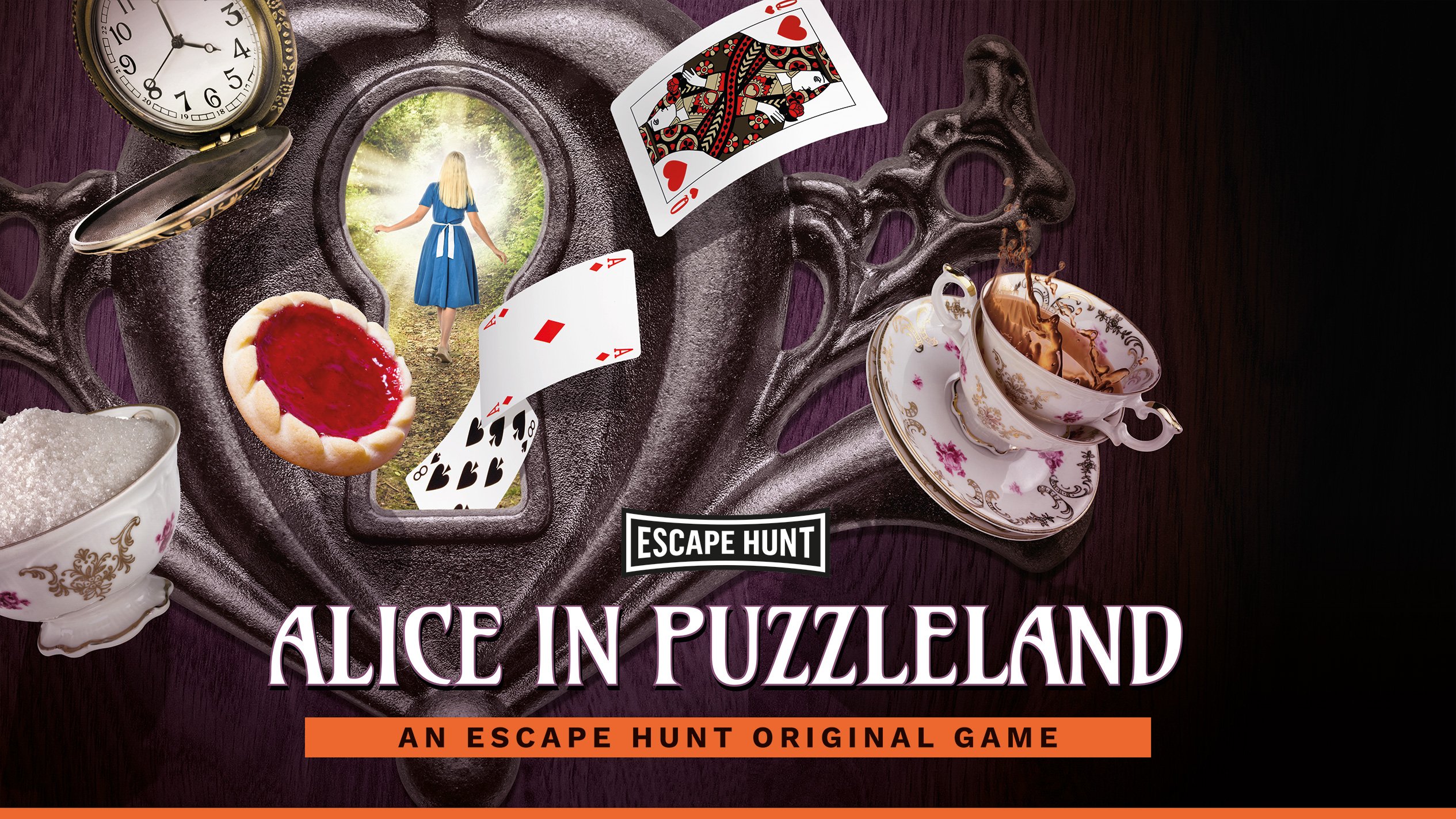 Alice in Puzzleland hero image